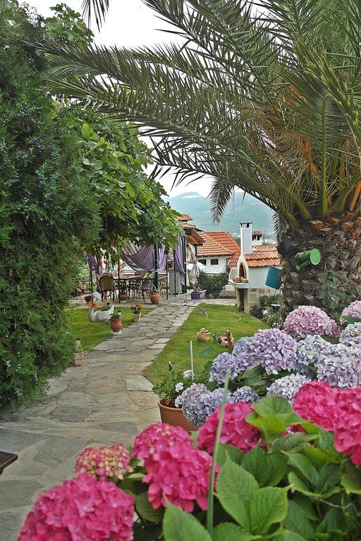 Studios Ifigenia Skala Potamia  Esterno foto