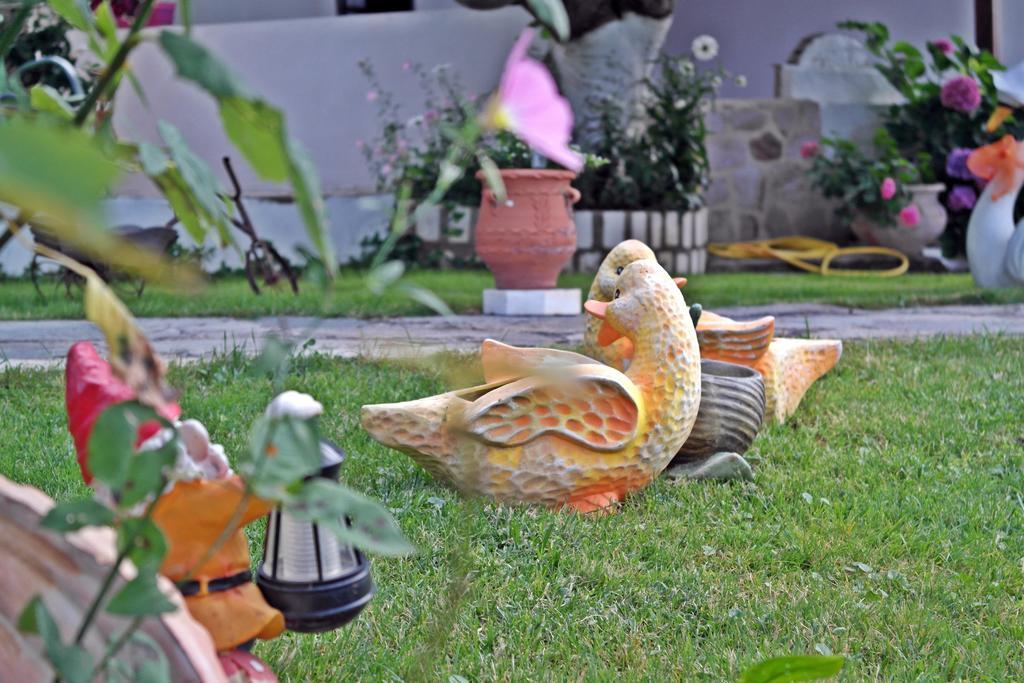 Studios Ifigenia Skala Potamia  Esterno foto